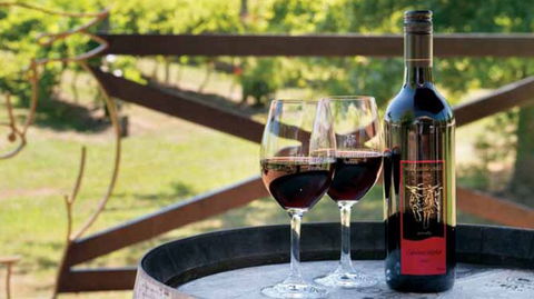 Wild Cattle Creek Estate Winery Restaurant - Accommodation Coffs Harbour 4