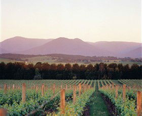 Domaine Chandon - Accommodation Coffs Harbour 0