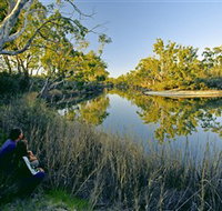 Little Desert National Park - Accommodation Coffs Harbour
