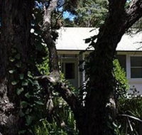 Melaleuca Gallery - Accommodation Coffs Harbour