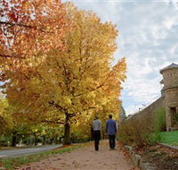 Indigo Gold Trail - Accommodation Coffs Harbour