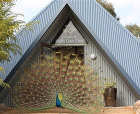 Halls Gap Zoo - Accommodation Coffs Harbour 0