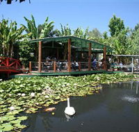 Blue Lotus Water Garden - Accommodation Coffs Harbour