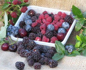 Porepunkah VIC Accommodation Coffs Harbour