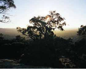 Yarra Flats - Accommodation Coffs Harbour 0