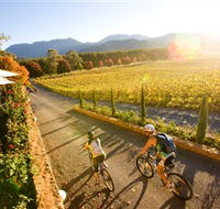 Boyntons Feathertop Winery - Accommodation Coffs Harbour