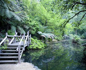 Alfred Nicholas Gardens - Accommodation Coffs Harbour 0