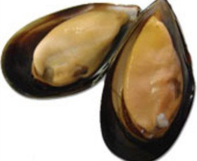 Sea Bounty - Accommodation Coffs Harbour 0