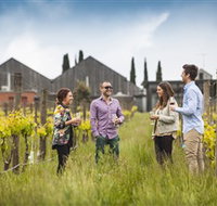 Willow Creek Vineyard - Accommodation Coffs Harbour