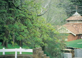 Hepburn Regional Park - Accommodation Coffs Harbour 0