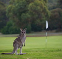 Anglesea Golf Club - Accommodation Coffs Harbour