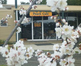 Rayner's Orchard - Accommodation Coffs Harbour 0