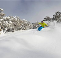 Mt Buller and Mt Stirling Alpine Resort - Accommodation Coffs Harbour