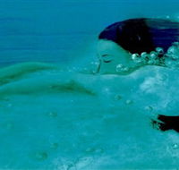 Muse - Accommodation Coffs Harbour