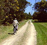 Koomba Park - Accommodation Coffs Harbour