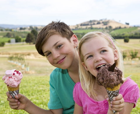 Yarra Valley Chocolaterie & Ice Creamery - Accommodation Coffs Harbour 6