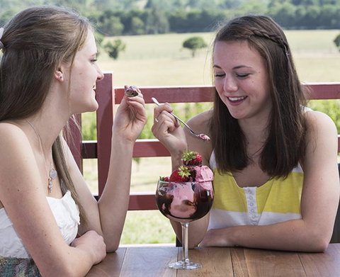 Yarra Valley Chocolaterie & Ice Creamery - Accommodation Coffs Harbour 8