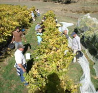 Blakes Estate Winery - Accommodation Coffs Harbour