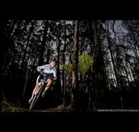 Ride Forrest - Accommodation Coffs Harbour