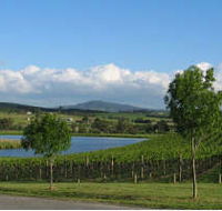 Yarrawood Estate - Accommodation Coffs Harbour