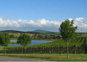 Yarrawood Estate - Accommodation Coffs Harbour 0