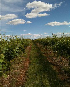 Chambers Rosewood Winery - Accommodation Coffs Harbour 0