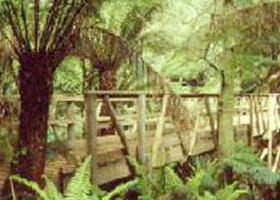 Mount Worth State Park - Accommodation Coffs Harbour 0