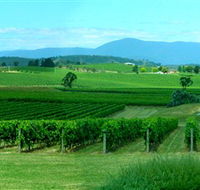 Acacia Ridge Vineyard - Accommodation Coffs Harbour