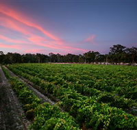 Amherst Winery - Accommodation Coffs Harbour
