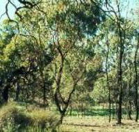 Leaghur State Park - Accommodation Coffs Harbour