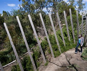 Herring Island Environmental Sculpture Park - Accommodation Coffs Harbour 0