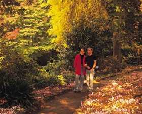 George Tindale Memorial Gardens - Accommodation Coffs Harbour 0