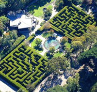 Ashcombe Maze  Lavender Gardens - Accommodation Coffs Harbour