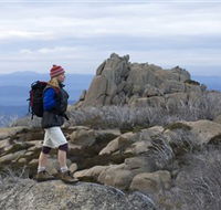 Mount Buffalo National Park - Accommodation Coffs Harbour