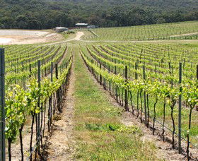 M Chapoutier Australia - Accommodation Coffs Harbour 0