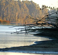 Barmah National Park - Accommodation Coffs Harbour