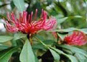 Noorinbee North VIC Accommodation Coffs Harbour