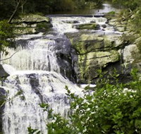 Agnes Falls Scenic Reserve - Accommodation Coffs Harbour
