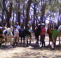 Bellarine Horse Riding Centre - Accommodation Coffs Harbour