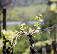Kyneton Ridge Estate - Accommodation Coffs Harbour