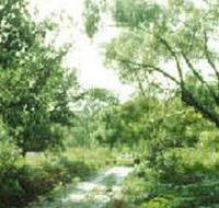 Holey Plains State Park - Accommodation Coffs Harbour