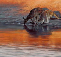 Steve Morvell Wildlife Art - Accommodation Coffs Harbour
