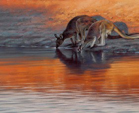 Steve Morvell Wildlife Art - Accommodation Coffs Harbour 0