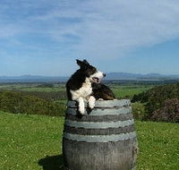 Windy Ridge Vineyard and Winery - Accommodation Coffs Harbour