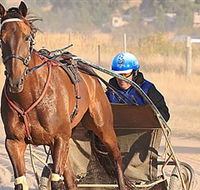 Ballarat  District Trotting Club - Accommodation Coffs Harbour