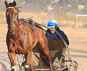 Ballarat & District Trotting Club - Accommodation Coffs Harbour 0