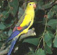Lake Hindmarsh Reserve - Accommodation Coffs Harbour
