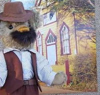 Stanley Bears - Accommodation Coffs Harbour