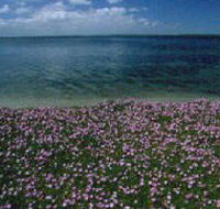 The Lakes National Park - Accommodation Coffs Harbour