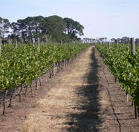 Mount Beckworth Wines - Accommodation Coffs Harbour